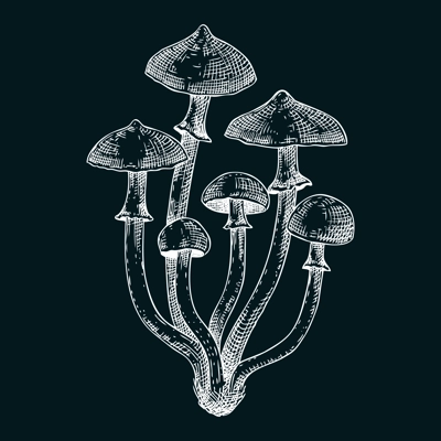 Autumn skullcap mushroom sketch. Poisonous plants drawing on chalkboard. Deadly fungus vector illustration, Galerina, forest plant in vintage style. 